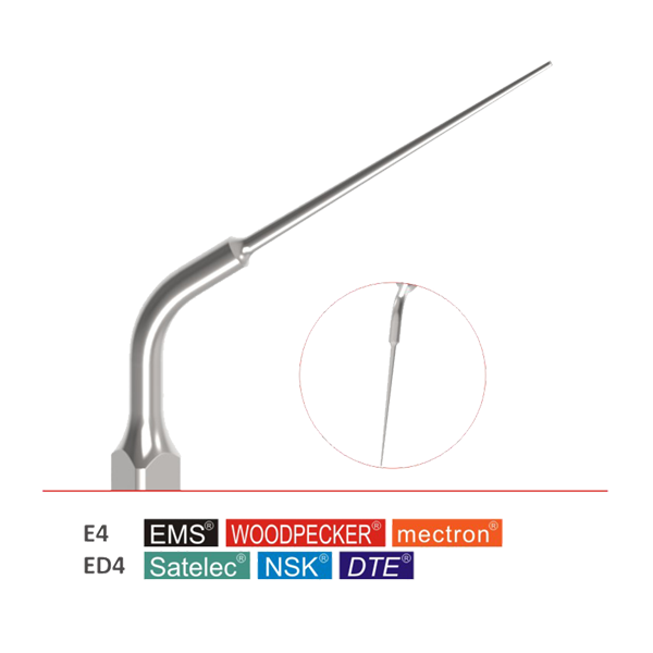 E4-ED4 Endodontic File  For Sclaer (5pcs in the pack )